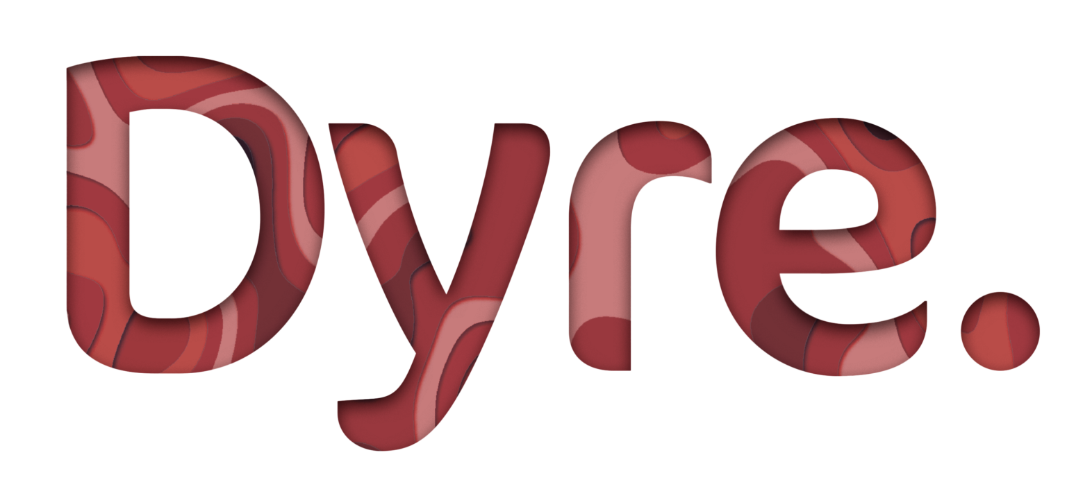 SOUTH AFRICAN DOCUMENTATION DYRE